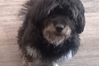 WhatsApp Image 2025-09-17 at 09.13.00.jpeg